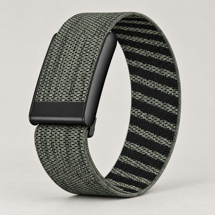 The Braided Nylon Whoop Band, Gray green