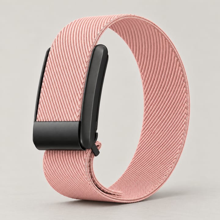 Pink stretch nylon band with its metal frame
