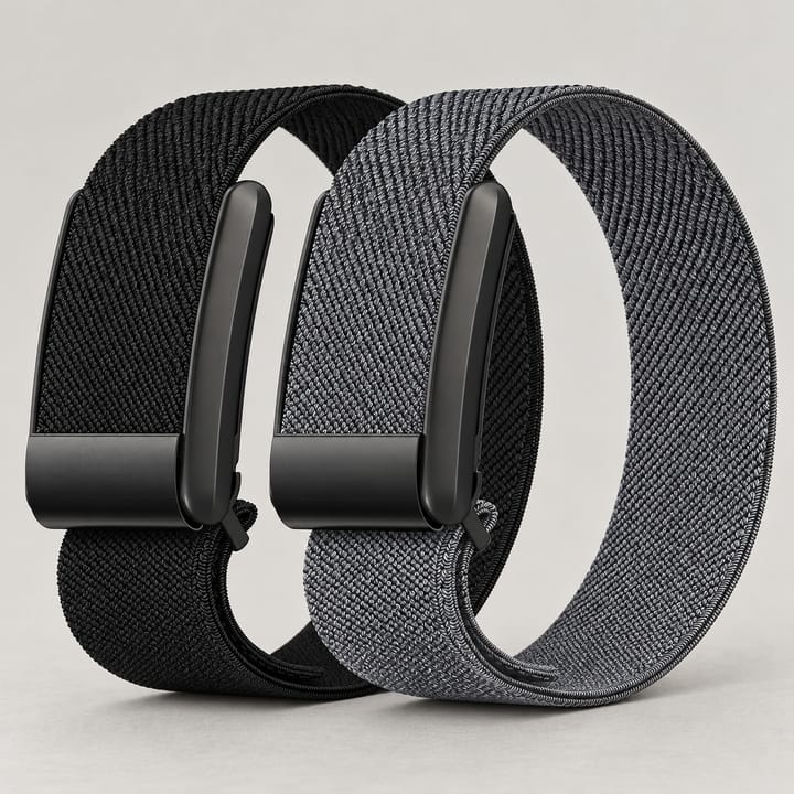 Two-band set: one black and one gray band, each with its own metal frame